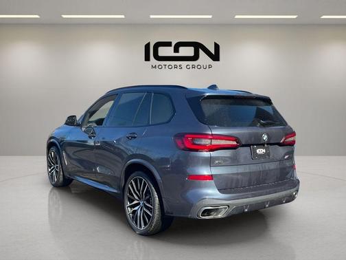 Arctic Gray Metallic 2021 BMW X5 M50i