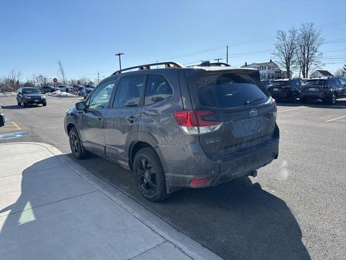2023 Subaru Forester Wilderness