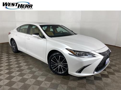 2022 Lexus ES 250 Luxury