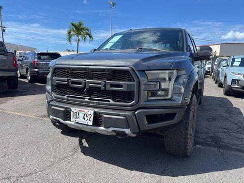 Magnetic 2017 Ford F-150 Raptor