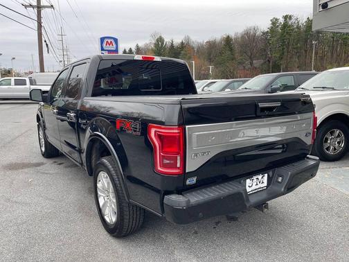 2015 Ford F-150 Platinum