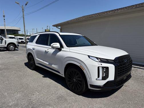 Hyper White 2025 Hyundai PALISADE Calligraphy Night Edition