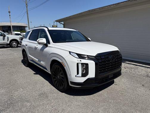 Hyper White 2025 Hyundai PALISADE Calligraphy Night Edition