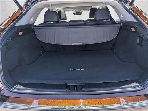 Autumn Shimmer 2016 Lexus RX 350 Base