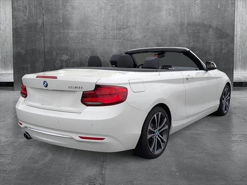 2019 BMW 230 230i