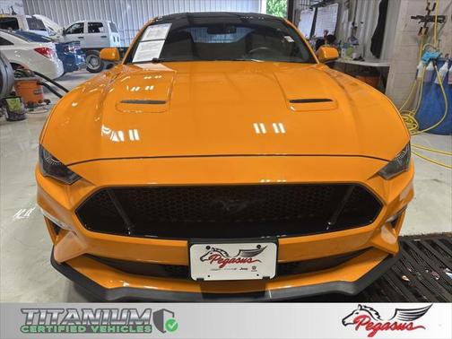 2019 Ford Mustang GT Premium