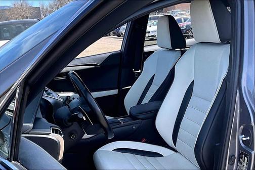 2021 Lexus NX 300 F Sport