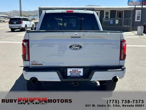 Avalanche 2024 Ford F-150 Tremor