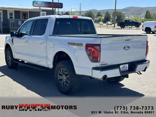 Avalanche 2024 Ford F-150 Tremor