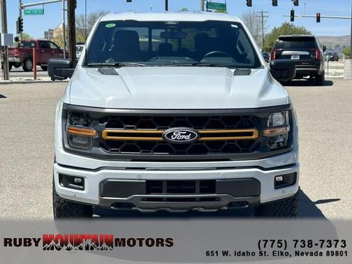 Avalanche 2024 Ford F-150 Tremor