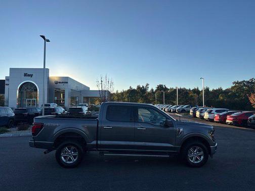 Gray Metallic 2025 Ford F-150 XLT