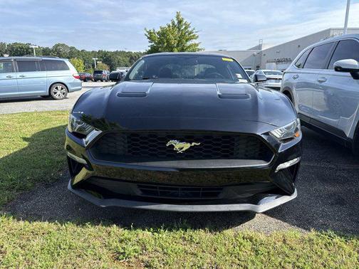 2019 Ford Mustang EcoBoost