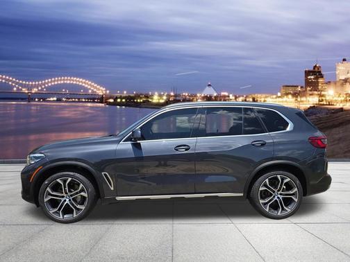 Arctic Gray Metallic 2019 BMW X5 xDrive40i