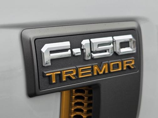 AVALANCHE 2023 Ford F-150 Tremor