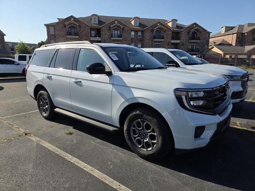 SPACE SILVER METALLIC 2025 Ford Expedition Active