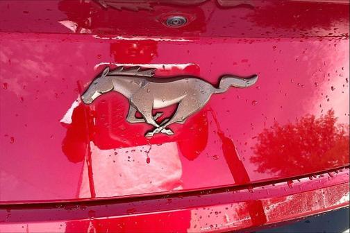 Rapid Red Metallic Tinted Clearcoat 2024 Ford Mustang EcoBoost Premium