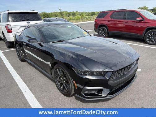 Shadow Black 2025 Ford Mustang EcoBoost