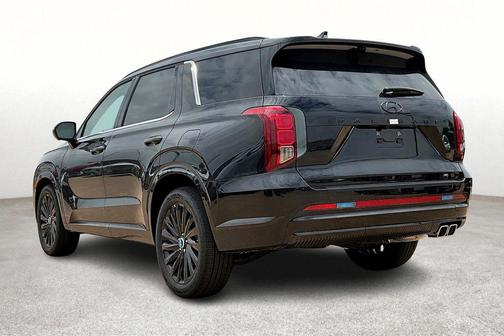 Abyss Black Pearl 2025 Hyundai PALISADE Calligraphy Night Edition