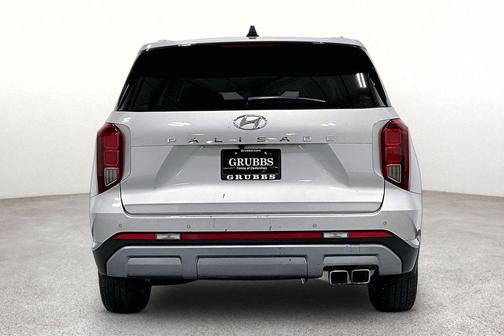 Typhoon Silver 2025 Hyundai PALISADE SEL