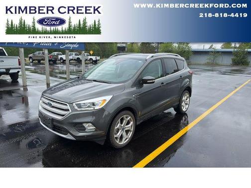 Magnetic 2019 Ford Escape Titanium