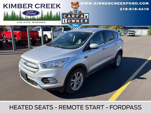 Ingot Silver Metallic 2019 Ford Escape SE