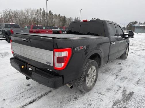2022 Ford F-150 Platinum