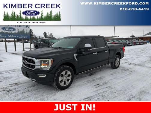 2022 Ford F-150 Platinum