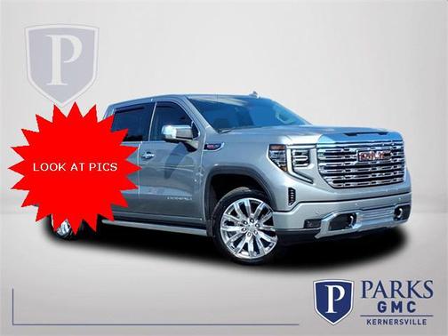 2025 GMC Sierra 1500 Denali