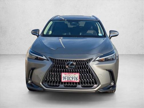 2023 Lexus NX 350 NX 350