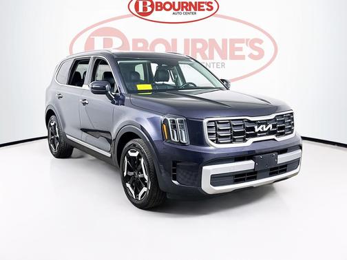Panthera Metal 2025 Kia Telluride S