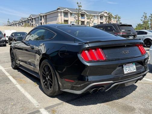 Shadow Black 2019 Ford Mustang GT