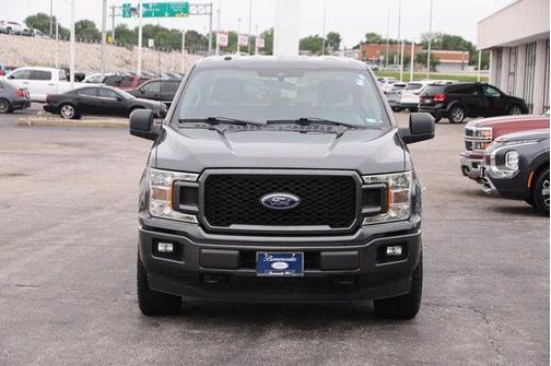 Magnetic 2019 Ford F-150 XL