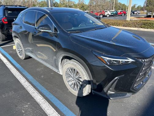 2022 Lexus NX 250 Base