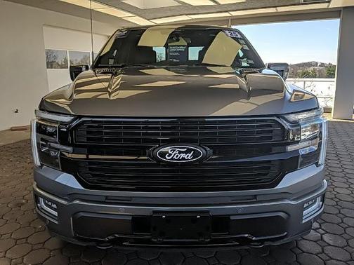 CARBONIZED GRAY METALLIC 2025 Ford F-150 PLATINUM
