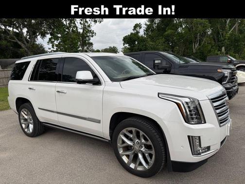 2019 Cadillac Escalade Platinum