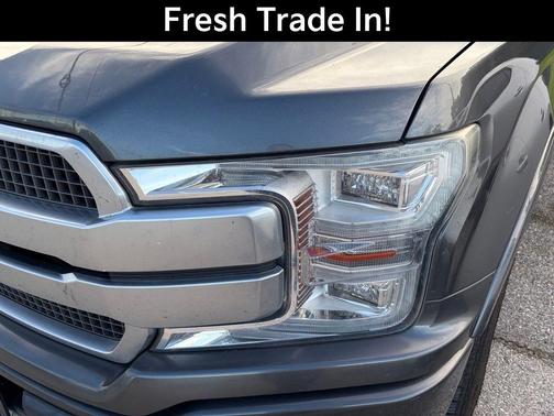 Magnetic 2019 Ford F-150 Platinum