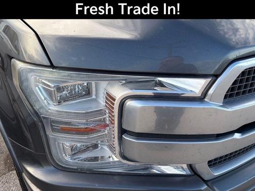 Magnetic 2019 Ford F-150 Platinum