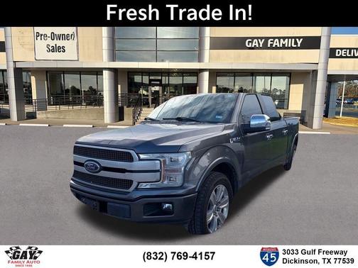 Magnetic 2019 Ford F-150 Platinum