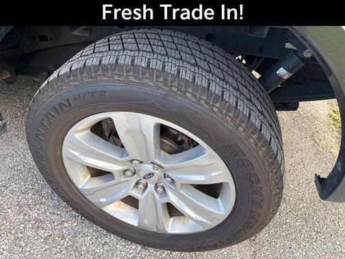 Magnetic 2019 Ford F-150 Platinum
