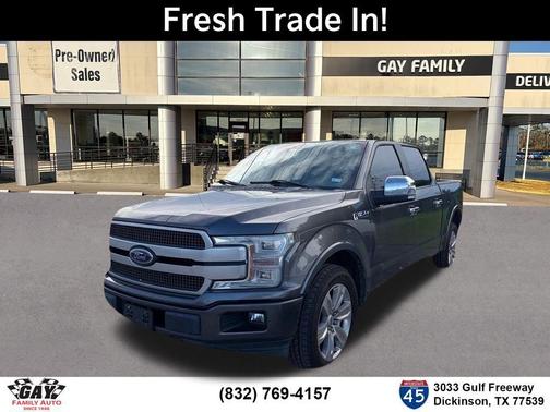 Magnetic 2019 Ford F-150 Platinum