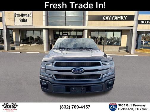 Magnetic 2019 Ford F-150 Platinum