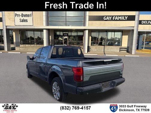 Magnetic 2019 Ford F-150 Platinum