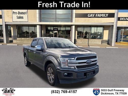 Magnetic 2019 Ford F-150 Platinum