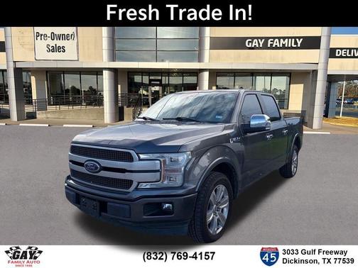 Magnetic 2019 Ford F-150 Platinum