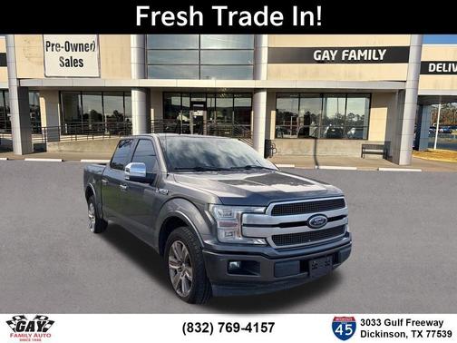 Magnetic 2019 Ford F-150 Platinum