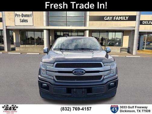 Magnetic 2019 Ford F-150 Platinum
