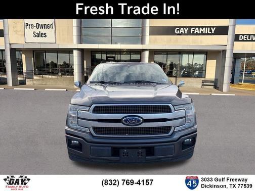 Magnetic 2019 Ford F-150 Platinum