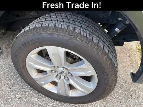 Magnetic 2019 Ford F-150 Platinum