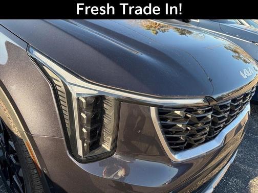 Metal 2025 Kia Sorento SX