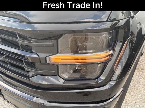 Black Metallic 2025 Ford F-150 XLT